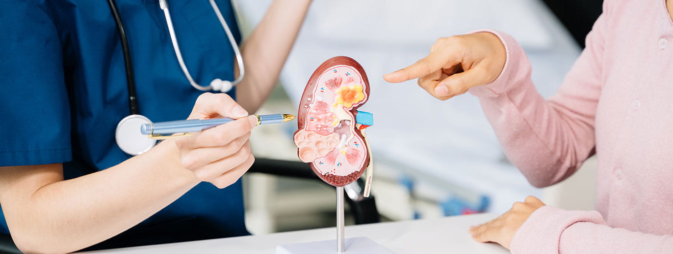 Nephrology